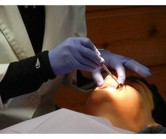 Primera visita es gratuita: Tratamientos y personal  de Clínica Dental Molí