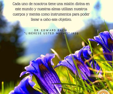 Dr. Edward Bach "Libérese usted mismo" 1932