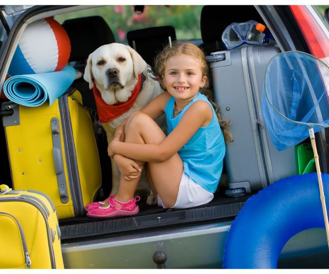 ¿Viajas sí o sí con tus mascotas?