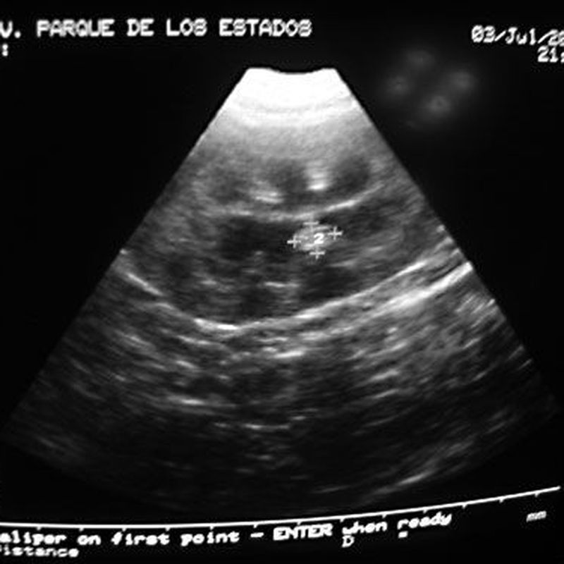 Radiología y ecografías: Servicios veterinarios de Clínica Veterinaria Parque de los Estados