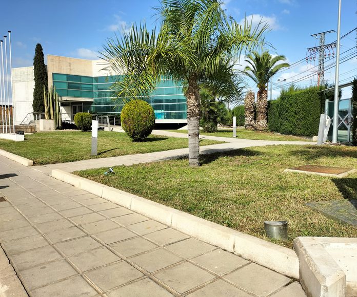 Fabrica de citricos