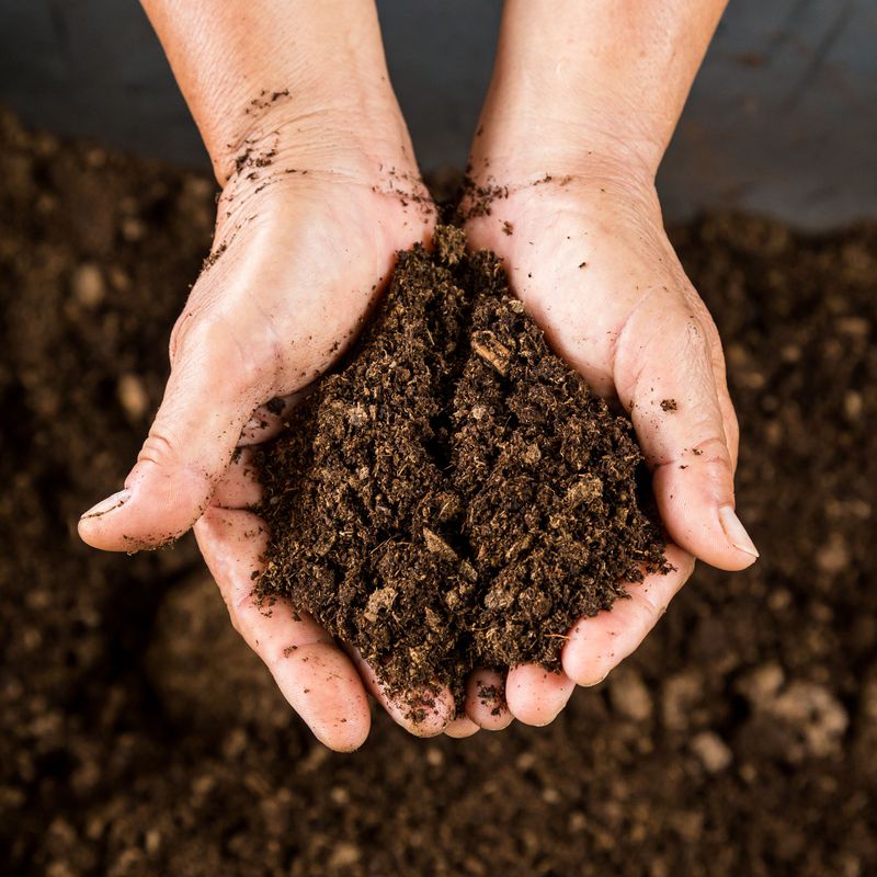 Venta de tierra vegetal: Servicios de Excavaciones Cortegada
