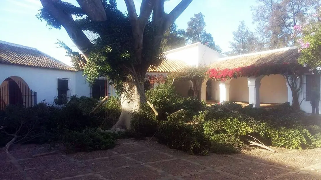 Diseño y mantenimiento de jardines en Huelva