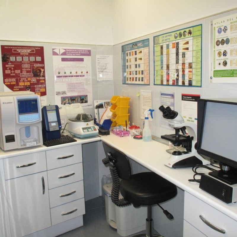 Laboratorio: Servicios de Centro Veterinario Azuqueca