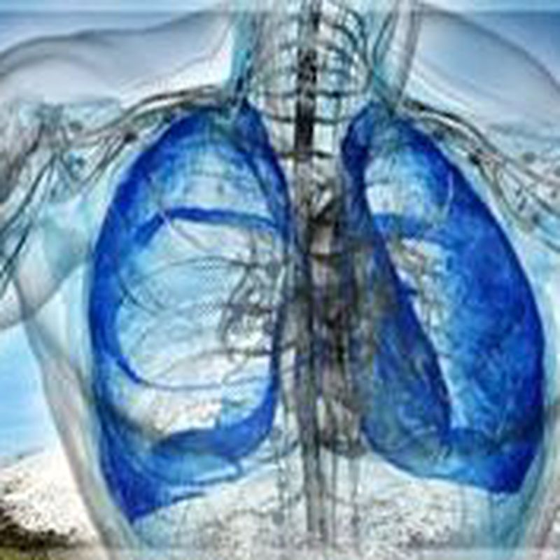 Afecciones respiratorias: Productos de Herbolario San Bernardo122
