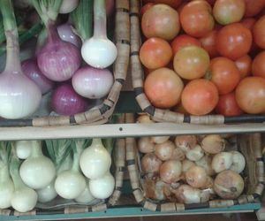 huerta 2017