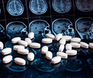 Un fármaco oral contra el alzhéimer recupera la comunicación entre las neuronas e impide que se acumule la proteína tóxica TAU