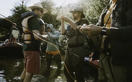 Imagen 7 de la galería