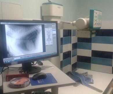 Radiología digital