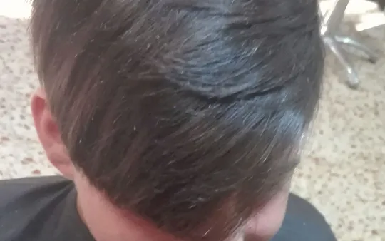 Imagen 6 de la galería