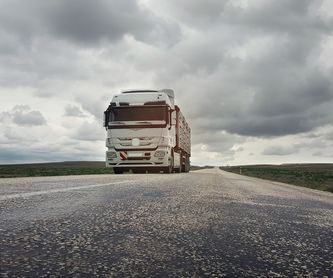 Alquiler de camiones y vehículos: Servicios de Transports Associats, S.C.C.L.