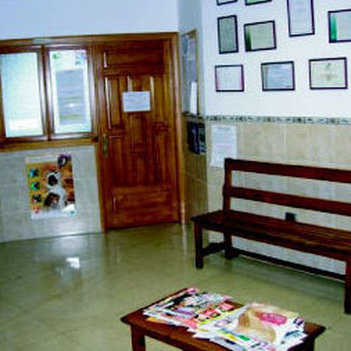 Vista parcial de la sala de espera de la clínica. Las Palmas de Gran Canaria http://www.clinica-veterinaria-losgalgos.es/es/