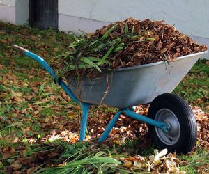 Cuidados de tu jardín en otoño