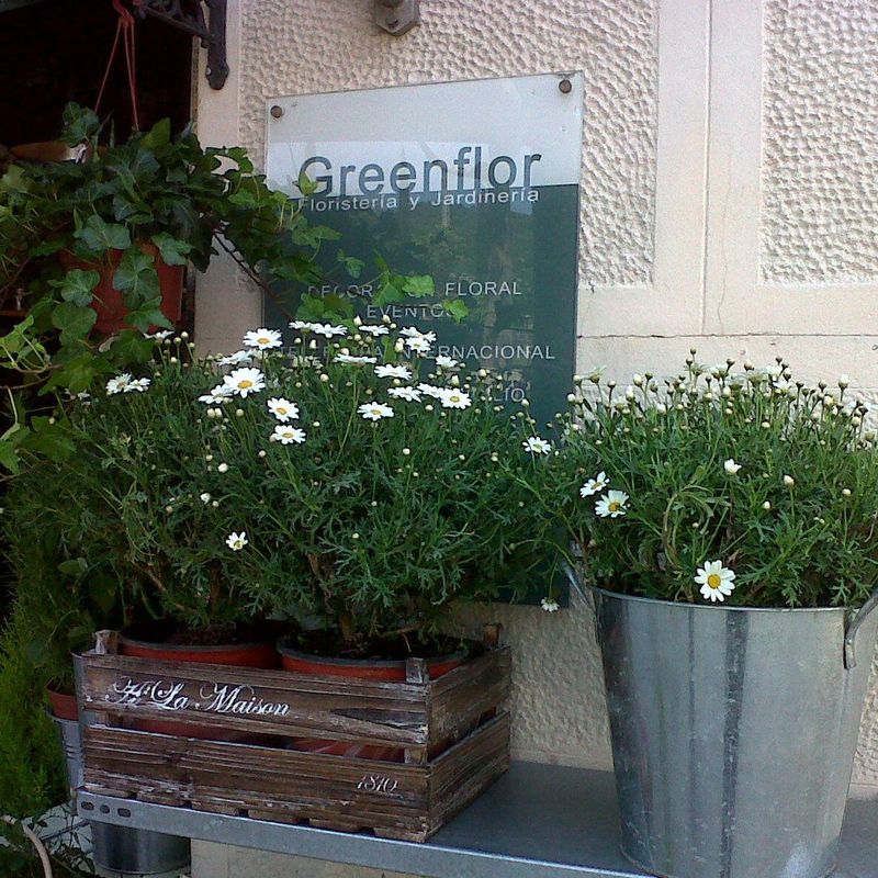 Greenflor, floristeria y jardineria.
