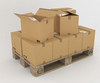 Fabricación de cajas y planchas de cartón ondulado: Servicios de Cajas Cartón Gipuzkoa - Cartoria