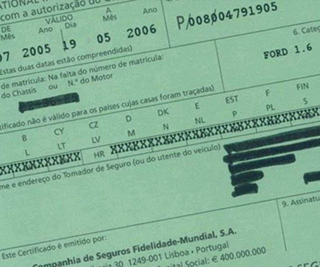 ¿Qué es la Carta Verde?