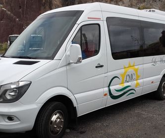 Excursiones: Servicios de La Merced Canarias, S.L.