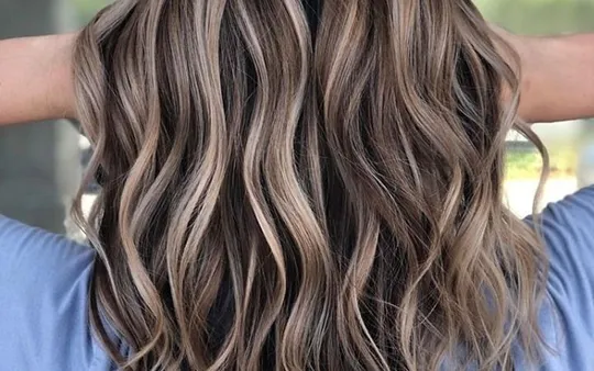 Peluquería vegana en Pamplona