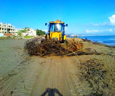 Dénia retira 1.500 toneladas de algas!