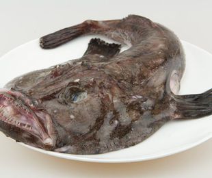 La importancia de un proveedor de pescado confiable en la rentabilidad de tu restaurante