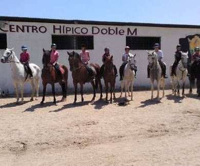 Aprende equitación en Sevilla 