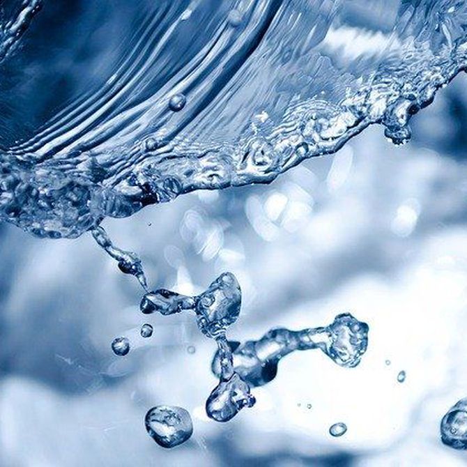 La importancia del agua para la vida