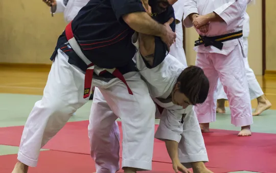 Profesores cualificados de artes marciales