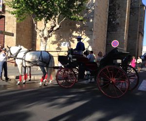 Alquiler de coches de caballos en Don Benito, Badajoz