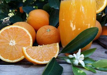 Naranjas zumo mediano 15 kg