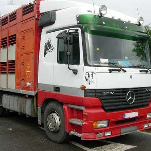 Transporte de Animales Irazola en Vizcaya