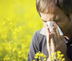 El aire acondicionado, el mejor aliado contra las alergias