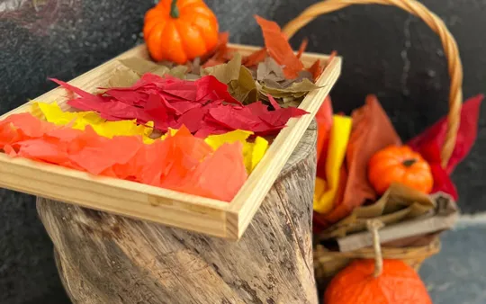 Imagen 3 de la galería