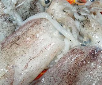 Moluscos: Productos y Servicios de Pescados y Mariscos Ainhoa