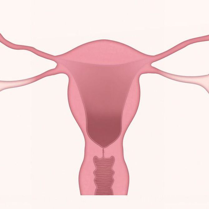 ¿Por qué la menstruación comienza en la pubertad?