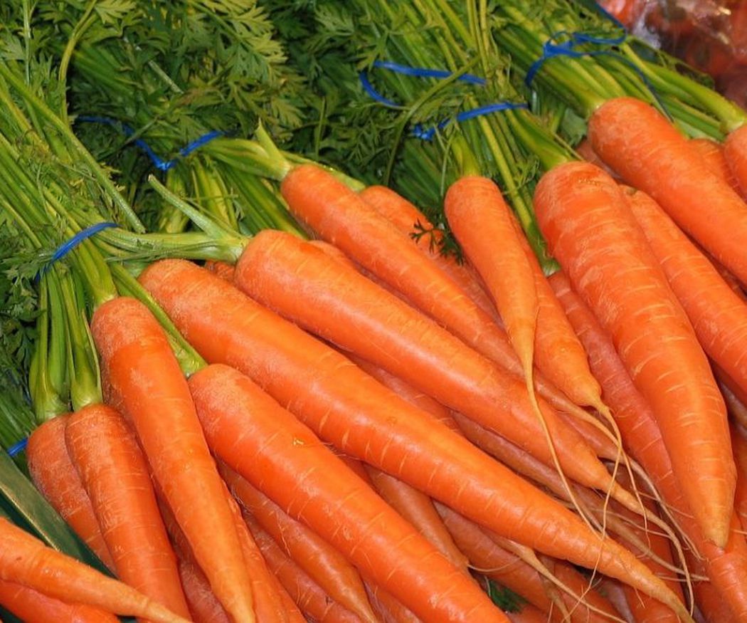 Razones para no perder de vista a las zanahorias