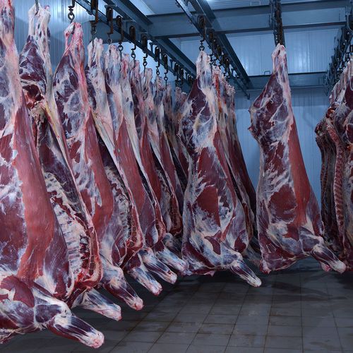 Distribuidora de carnes Sevilla