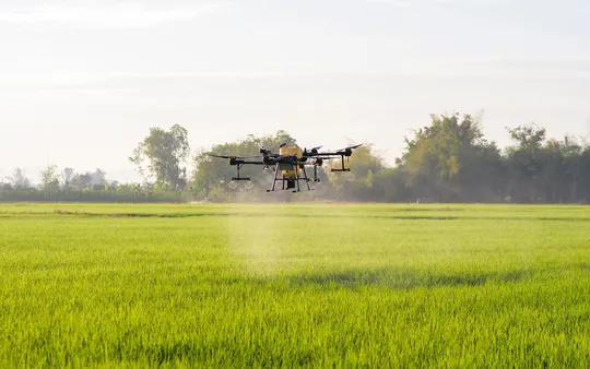 Imagen 1 de la galería