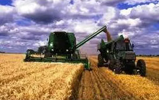 Reparaciones garantizadas