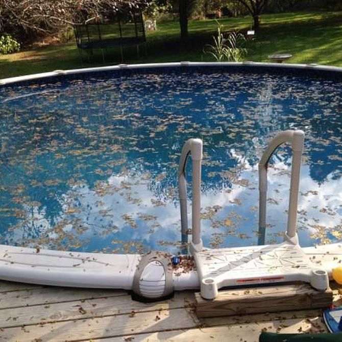 Riesgos de no mantener limpia una piscina