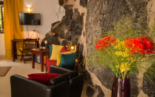 Imagen 4 de la galería