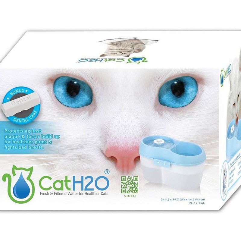 Fuente Cat H2O 2 litros: Nuestros productos de Pienso Express