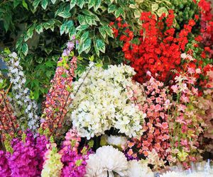 Como combinar los colores a la hora de realizar un conjunto floral
