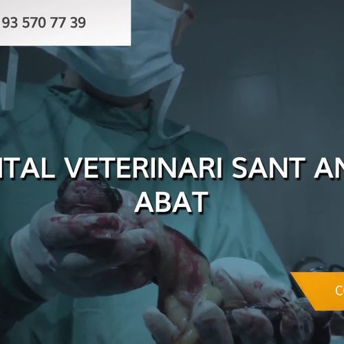 Hospital veterinario en Mollet del Vallès | Hospital Veterinari Sant Antoni Abat