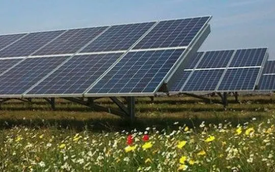 Imagen 5 de la galería