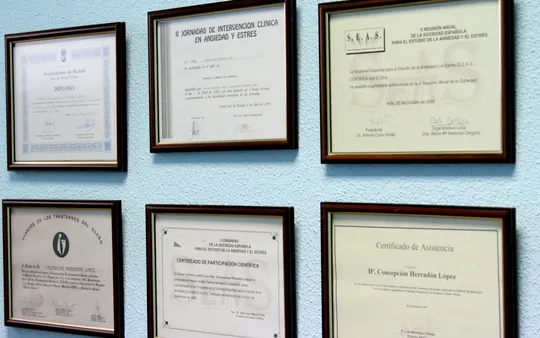 Imagen 4 de la galería