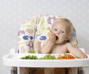 Baby-Led Weaning: aprende sobre la alimentación sin papillas para tu bebé