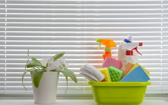 Imagen 5 de la galería