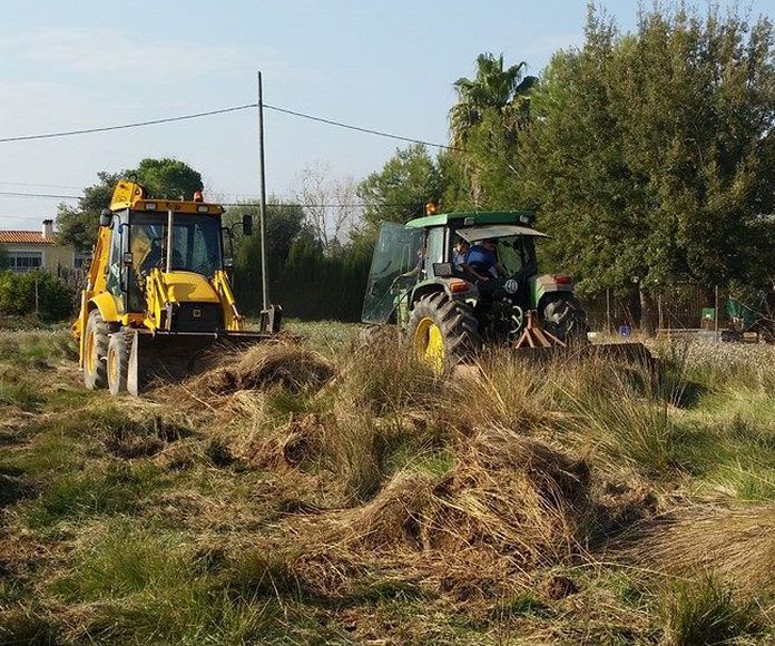 Limpieza de Terrenos: Servicios de Tractores y Excavaciones Mores