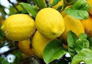 limones
