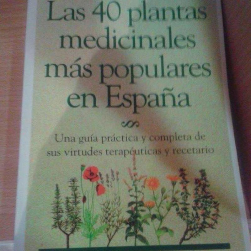 Las 40 plantas medicinales más populares en España: Cursos y productos de Racó Esoteric Font de mi Salut